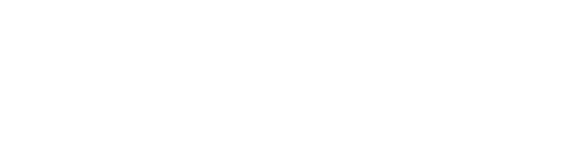 Norbauer & Co. logo